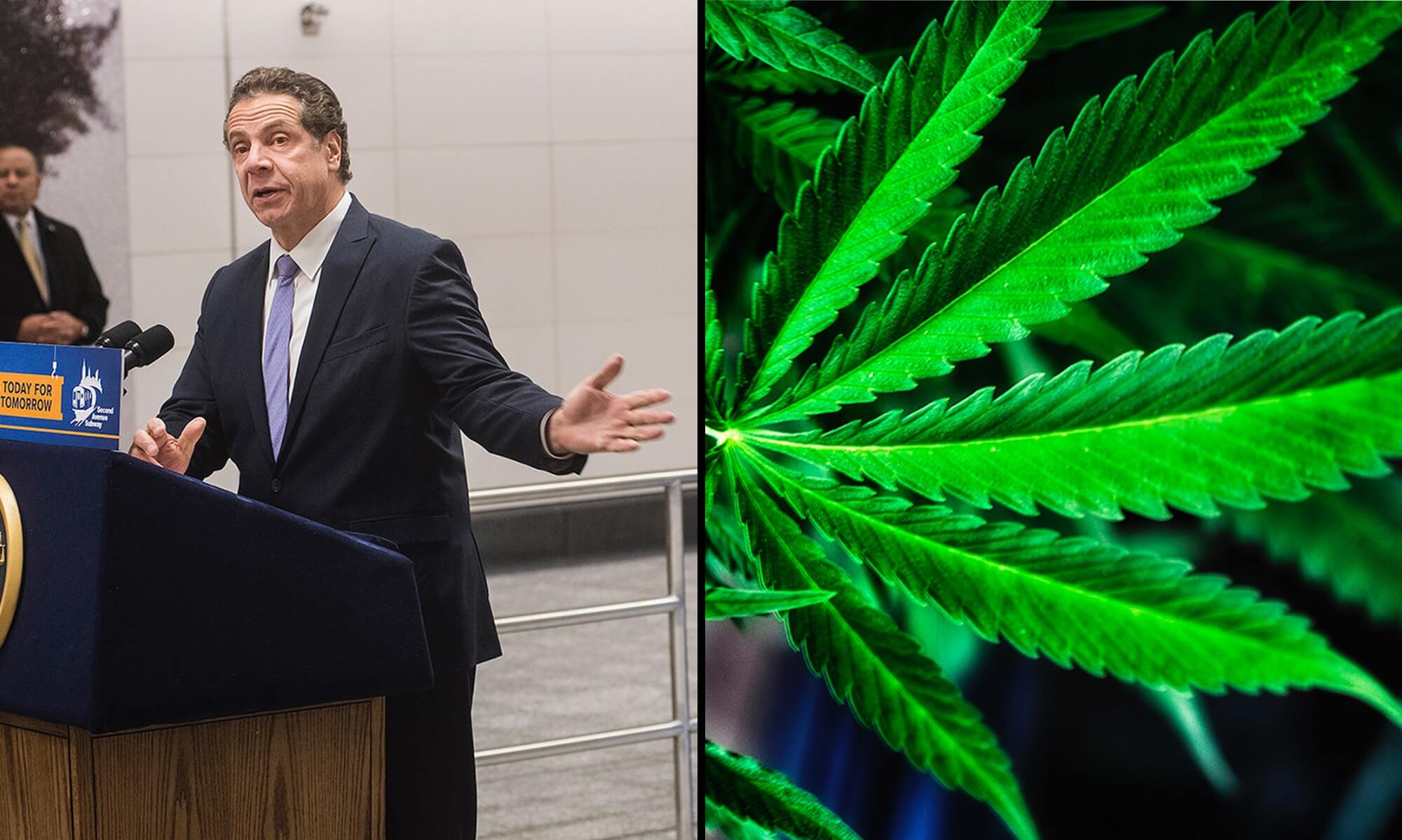 Губернатор штата Нью-Йорк желает убедиться в целесообразности легализации марихуаны