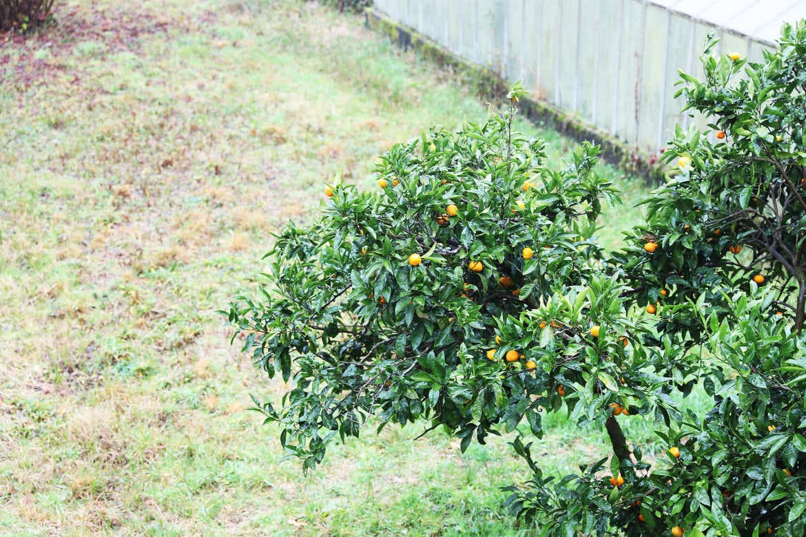 фото реабилитационного центра Здоровая нация г. Сухум Республика Абхазия