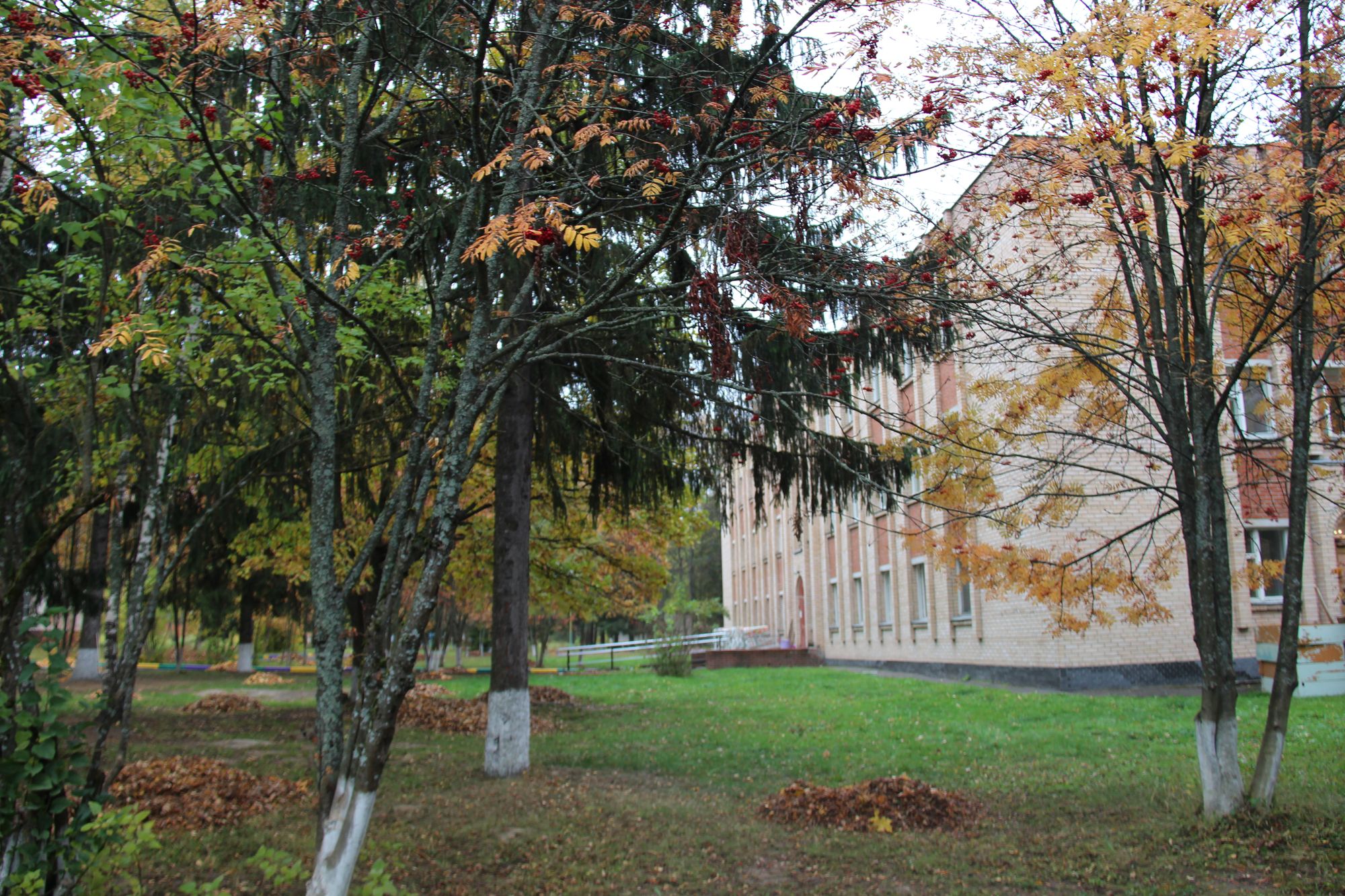 фото реабилитационного центра Навигатор Москва