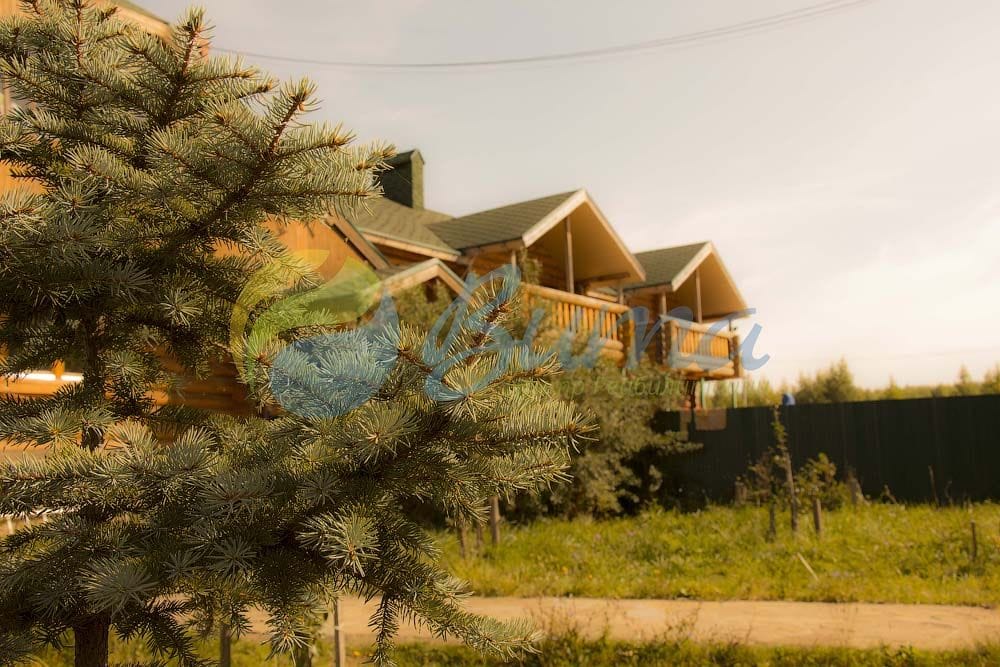 фото реабилитационного центра Центр Вита