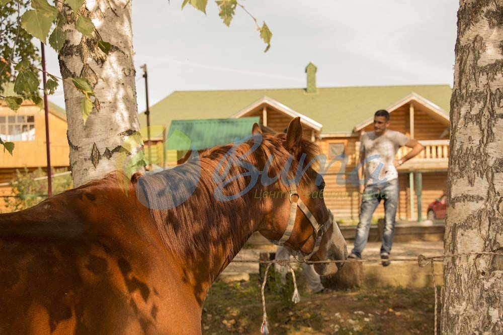 фото реабилитационного центра Вита г.Воронеж