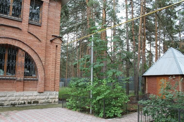 фото реабилитационного центра Здоровая жизнь г. Самара